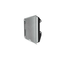 EP YAMAHA MT09 SP GRILLE DE RADIATEUR