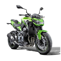 EP KAWASAKI Z900 SE GRILLE DE RADIATEUR