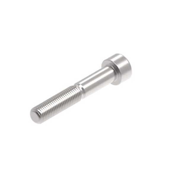 EVOTECH M10 X 60 X 1.25MM VIS  - 316 S/S