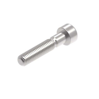 EVOTECH M8 X 40 X 1.25MM VIS  - 316 S/S 