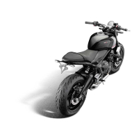 EP AXE DE PROTECTION DE ROUE ARRIERE TRIUMPH TIGER SPORT 660