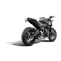 EP AXE DE PROTECTION DE ROUE ARRIERE TRIUMPH TIGER SPORT 660