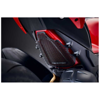 EP DUCATI PANIGALE V4 R PROTECTION RESERVOIR