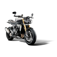 EP GRILLE DE RADIATEUR NOIR TRIUMPH SPEED TRIPLE 1200 RR