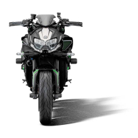 EP AXE DE PROTECTION DE ROUE AVANT KAWASAKI Z H2 SE