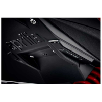 OBTURATEURS DE REPOSES-PIEDS PASSAGER APRILIA RS660 ET TUONO 660 (2021+)