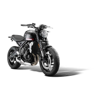 GRILLE DE RADIATEUR TRIUMPH TRIDENT 660 (2021+)