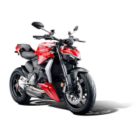 Evotech Ducati Streetfighter V2 kit protection de radiateur (2022+)