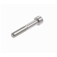 EVOTECH M10 X 63 X 1.5MM VIS - 316 S/S