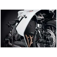 GRILLE DE RADIATEUR DAYTONA 660 EP