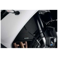 GRILLE DE RADIATEUR DAYTONA 660 EP