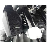 EP GRILLES DE RADIATEUR BMW R 1300 GS 2024