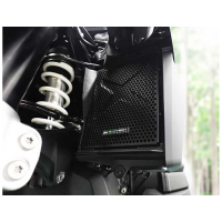 EP GRILLES DE RADIATEUR BMW R 1300 GS 2024
