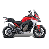 EP DUCATI MULTISTRADA V4 RALLY TAMPON DE PROTECTION