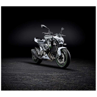 PROTECTION DE RADIATEUR KAWASAKI (2015-2016)