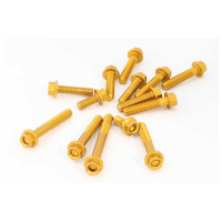 KIT VISSERIE DE MOTEUR KAWASAKI Z1100/ SE 2026 - Couleur : OR