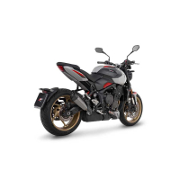 SILENCIEUX ZARD TRIUMPH TRIDENT 800 - Options : sans option, Matière : titane, Embout : embout carbone, Version : homologué 