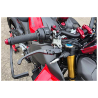 LEVIER DE FREIN POUR MAITRE CYLINDRE BREMBO DUCATI STREETFIGHTER V4 2026 - BB - BR -RB - SB -SR : Noir/Noir