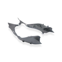 PAIRE DE FLANCS LATERAUX CARBONE CNC RACING STREETFIGHTER V4