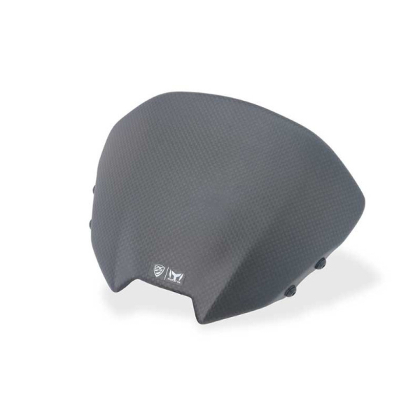 SAUT DE VENT CARBONE DUCATI STREETFIGHTER V2 2025