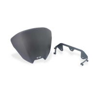 SAUT DE VENT CARBONE DUCATI STREETFIGHTER V2 2025