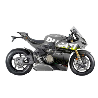 Kit déco DUCATI PANIGALE V4S/R - MODELE V1 - GRIS JAUNE - Finition : BRILLANT, Modèle : FULL, Modèle Panigale : Modèle V4R