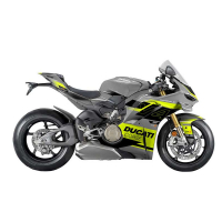 Kit déco DUCATI PANIGALE V4S/R - MODELE V2 - GRIS JAUNE - Finition : BRILLANT, Modèle : FULL, Modèle Panigale : Modèle V4R
