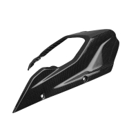 PARE CHAINE AVANT CARBONE LIGHTECH DUCATI - Finition : MAT 