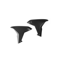 FLANCS LATÉRAUX DROIT ET GAUCHE CARBONE LIGHTECH DUCATI - Finition : BRILLANT