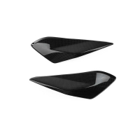 PROTECTIONS LATÉRALES CARBONE SILENCIEUX LIGHTECH DUCATI 