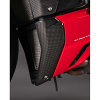 CACHES LATÉRAUX INFÉRIEUR RADIATEUR CARBONE LIGHTECH DUCATI - Finition : BRILLANT