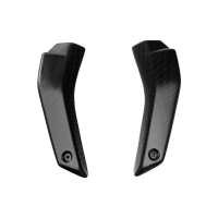 CACHES LATÉRAUX INFÉRIEUR RADIATEUR CARBONE LIGHTECH DUCATI - Finition : BRILLANT