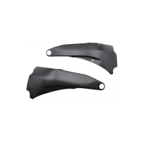 PROTECTIONS CADRE CARBONE LIGHTECH DUCATI - Finition : MAT