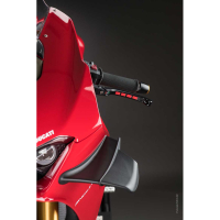 AILERONS LATÉRAUX CARBONE LIGHTECH DUCATI - Finition : MAT