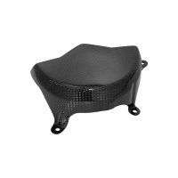 PROTECTION ALTERNATEUR CARBONE LIGHTECH DUCATI - Finition : MAT