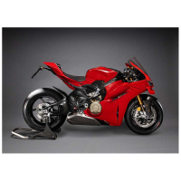 PROTECTIONS CADRE CARBONE MAT LIGHTECH DUCATI