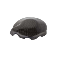 PROTECTION ALTERNATEUR CARBONE BRILLANT LIGHTECH KAWASAKI