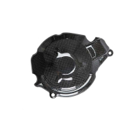 PROTECTION ALTERNATEUR CARBONE LIGHTECH SUZUKI - Finition : BRILLANT