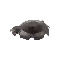 PROTECTION ALTERNATEUR CARBONE LIGHTECH SUZUKI - Finition : BRILLANT